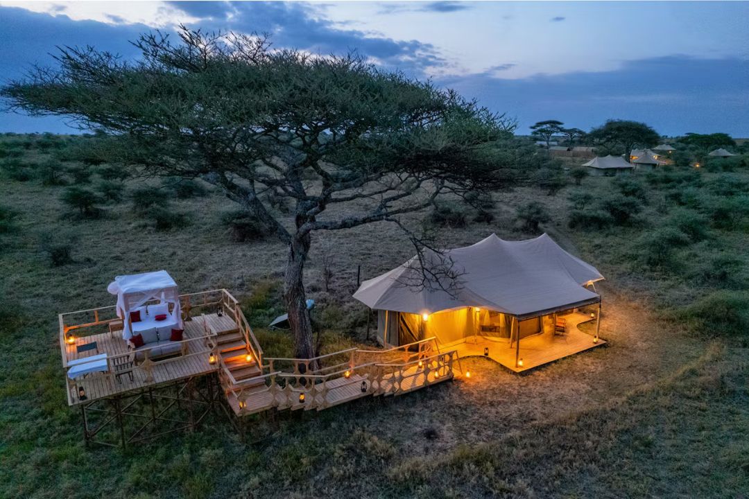 Pamoja Serengeti Camp (1)