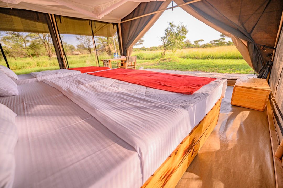 Pamoja Serengeti Camp (2)