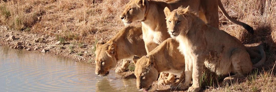 Lake Manyara