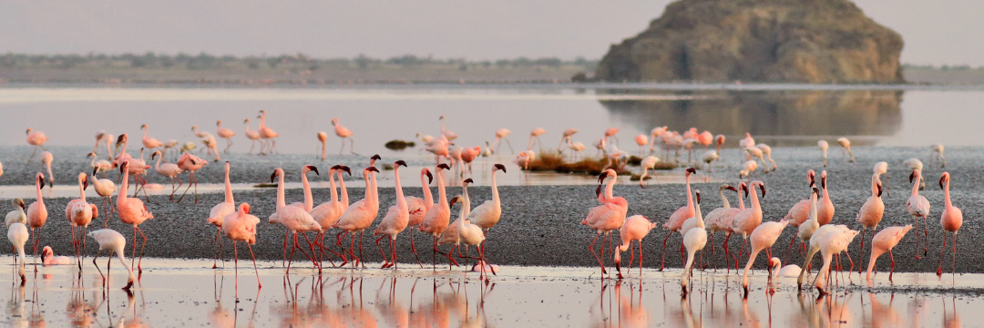 Lake Natron